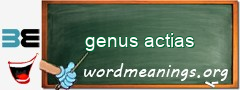 WordMeaning blackboard for genus actias